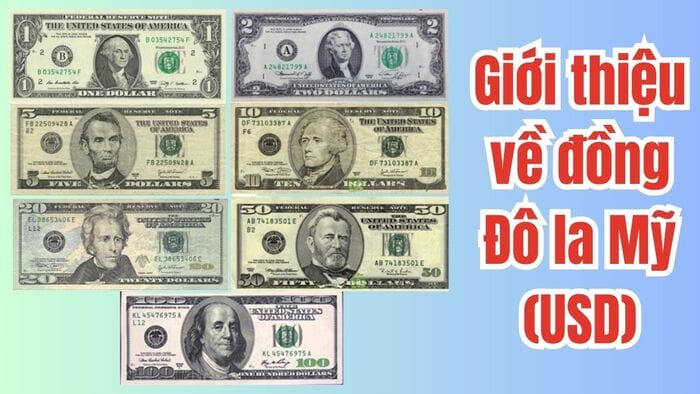 Giải đáp 1 đô Mỹ bằng bao nhiêu tiền Việt